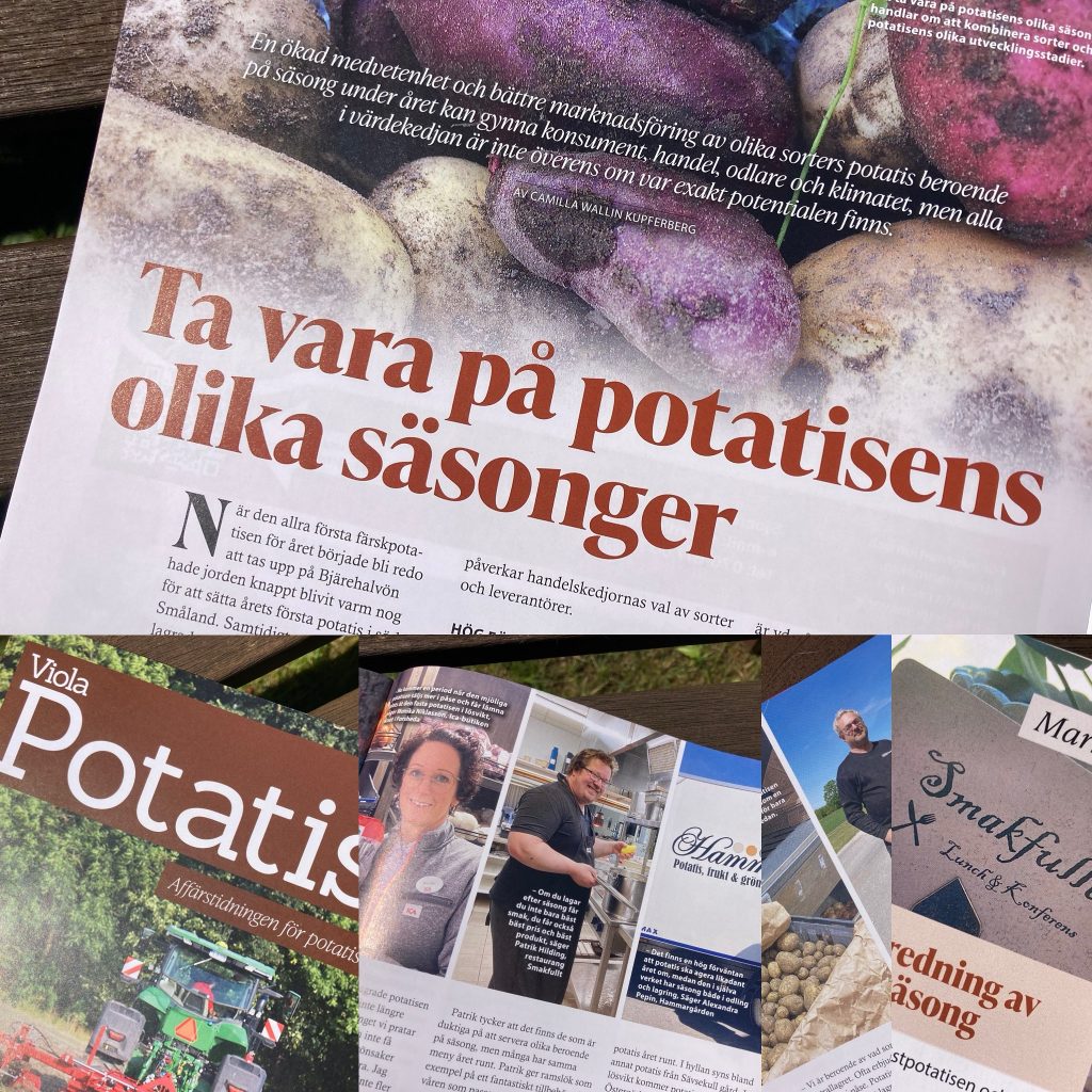 Artikel I Viola potatis