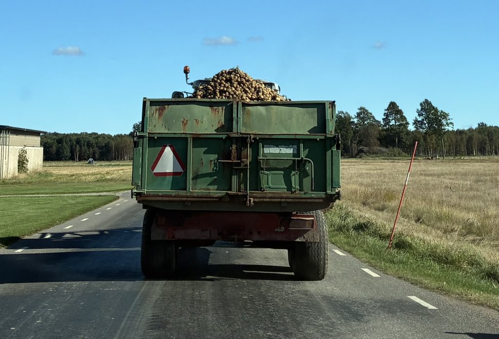 Traktor på väg fylld med potatis